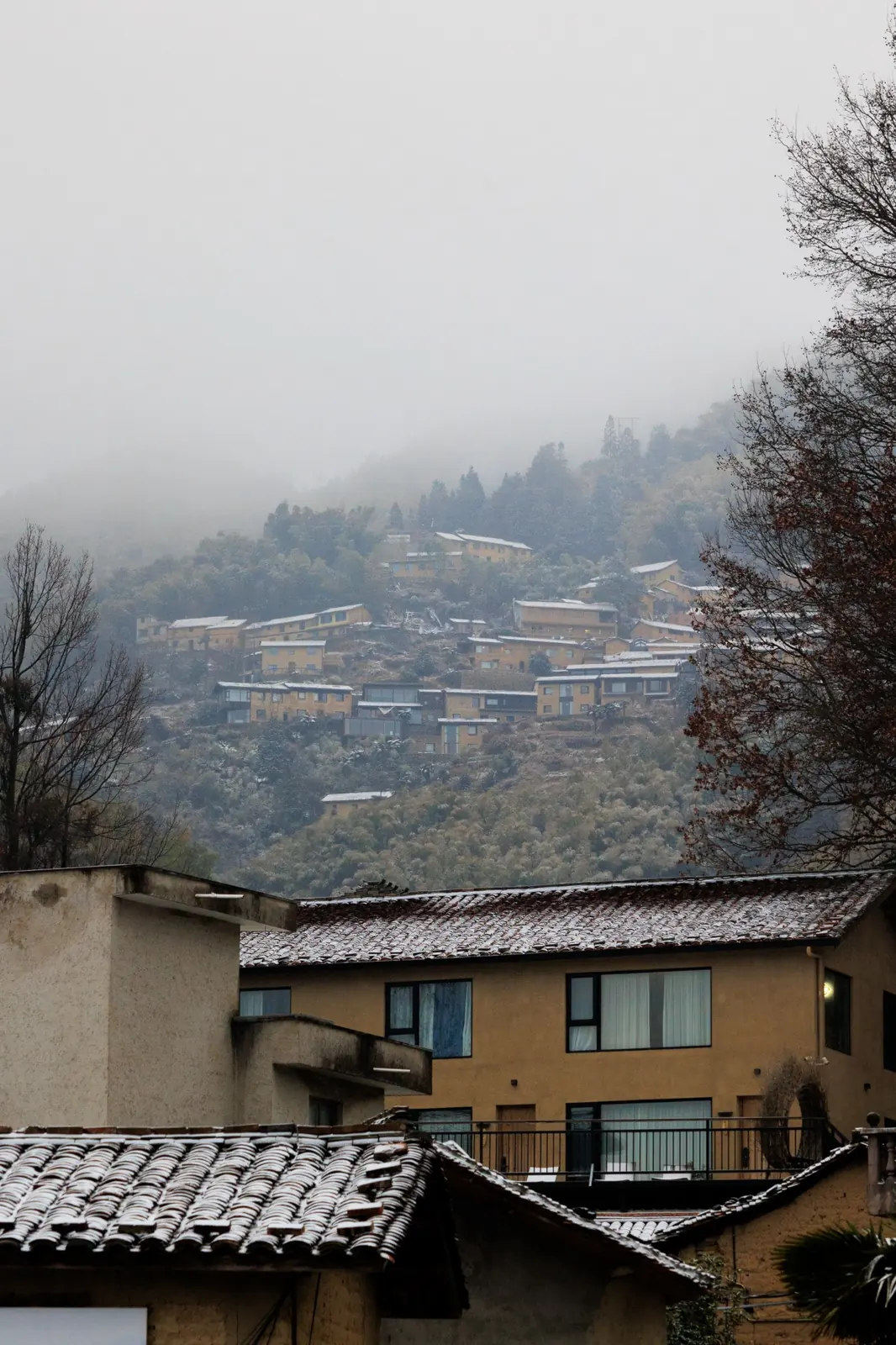西坑村及山上的陈家铺